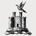 Lanyon family crest, coat of arms