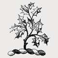 Blenshell family crest, coat of arms