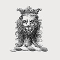 Castilion family crest, coat of arms