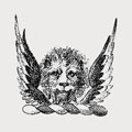 Shoobridge family crest, coat of arms