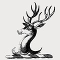 Bellewe family crest, coat of arms