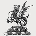 Baldwyn family crest, coat of arms