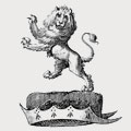 Auverquerque family crest, coat of arms
