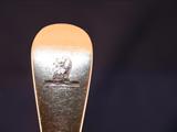 A pair of Victorian serving spoons