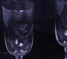 Fine pair of armorial glass goblets