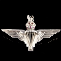 The Parachute Regiment Brooch (GVI)