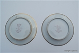 Pair Worcester Flight Barr Plates SCOTT Rotherfield Park