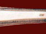 Set Of 12 'Fiddle Thread & Shell' Pattern English Silver Knives