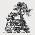 Davies family crest, coat of arms