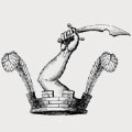 Stephens family crest, coat of arms