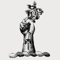 Parsons family crest, coat of arms