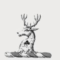 Kene family crest, coat of arms