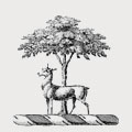 Usborne family crest, coat of arms