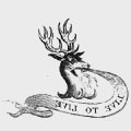 Whitele family crest, coat of arms