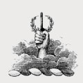 Plummer family crest, coat of arms