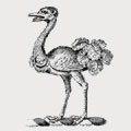 Goodwing family crest, coat of arms