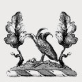 Parsons family crest, coat of arms