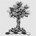 Mowat family crest, coat of arms
