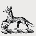 Fox family crest, coat of arms