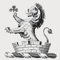 Wilson family crest, coat of arms