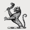 Pocklington-Senhouse family crest, coat of arms