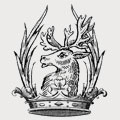 Young family crest, coat of arms