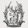 Young family crest, coat of arms