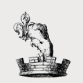 Owen family crest, coat of arms