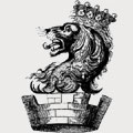 Richardson family crest, coat of arms