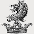 Doran family crest, coat of arms