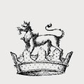 Lewis family crest, coat of arms