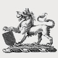 Wright family crest, coat of arms