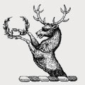 Poyner family crest, coat of arms