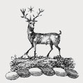 Robinson family crest, coat of arms