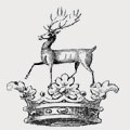 Robinson family crest, coat of arms