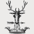 Anderson family crest, coat of arms