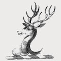 Higginbotham-Wybrants family crest, coat of arms