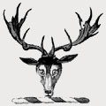 Mackenzie family crest, coat of arms