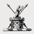 Rawson-Ackroyd family crest, coat of arms