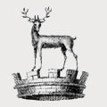 Robinson family crest, coat of arms