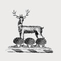 Robinson family crest, coat of arms