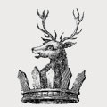 Holmes family crest, coat of arms