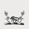 Ogden family crest, coat of arms