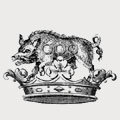Fitz-Gerald family crest, coat of arms