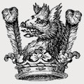 Newton family crest, coat of arms