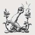 Cook family crest, coat of arms