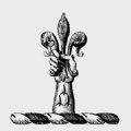 Stace family crest, coat of arms