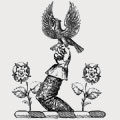 White family crest, coat of arms