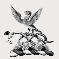 Johnson family crest, coat of arms