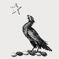 Maxwell family crest, coat of arms